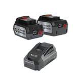 Batteries and charging devices
