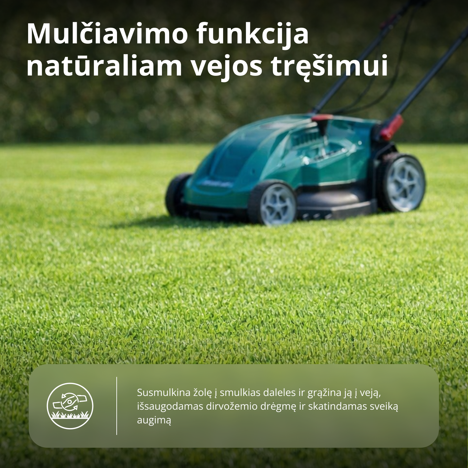 Elektrinė vejapjovė KS 38LM16
