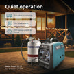 LPG/gasoline inverter generator KS 3100iG S thumbnail